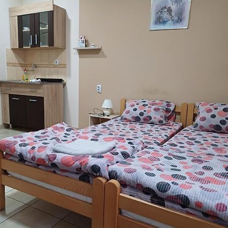 Sobe Sanja Hotel Pirot Exterior photo