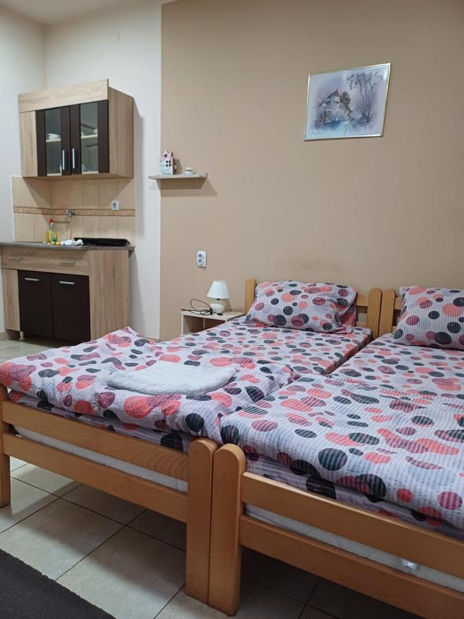 Sobe Sanja Hotel Pirot Exterior photo